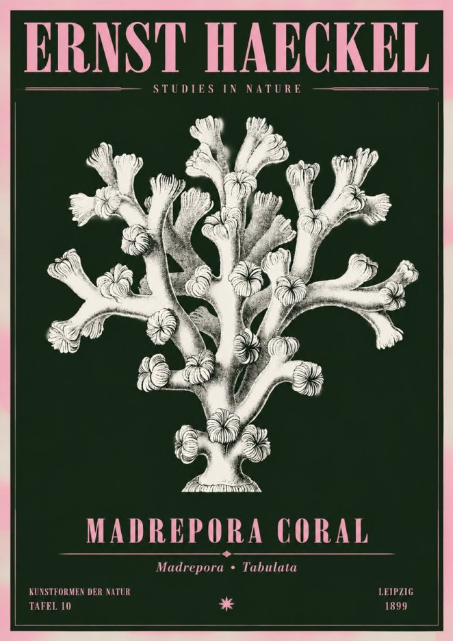 Ernst Haeckel Corallium Rubrum I No5 - Poster