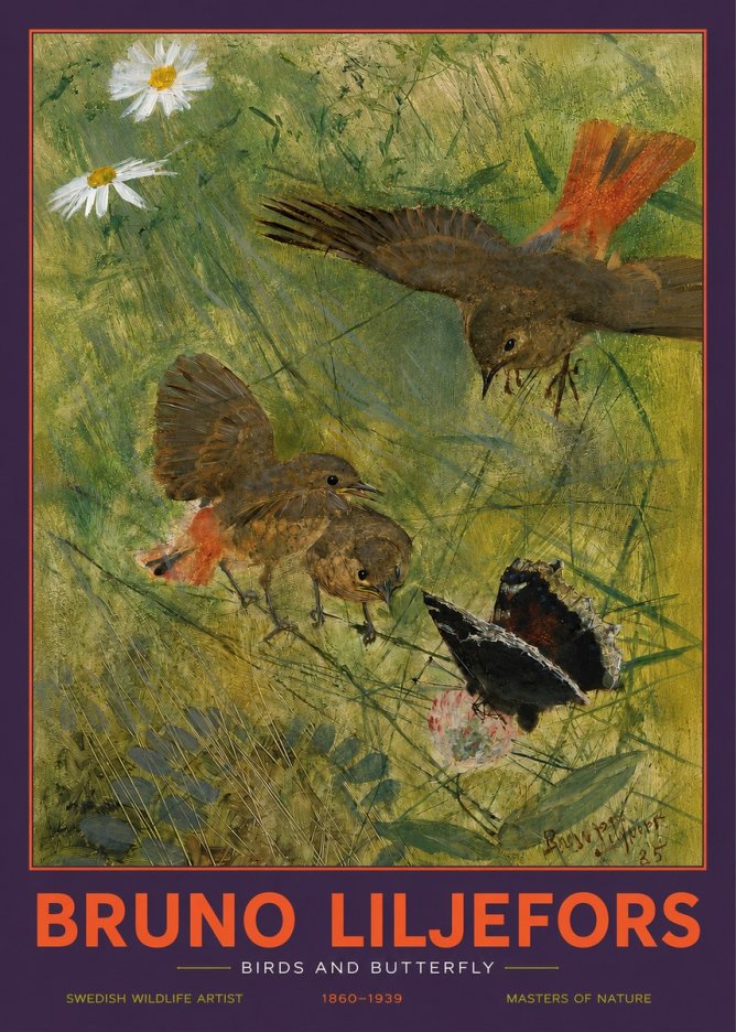Bruno Liljefors Birds and Butterfly No2 - Poster