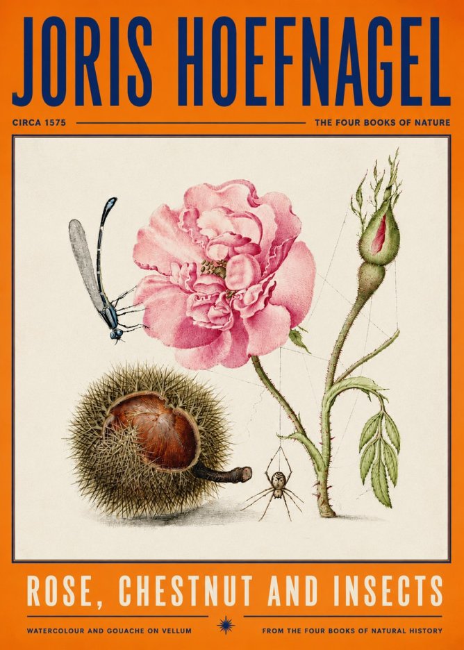Joris Hoefnagel Rose, Chestnut and Insects No4 - Poster
