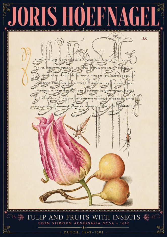 Joris Hoefnagel Tulip and Fruits with Insects No4 - Poster