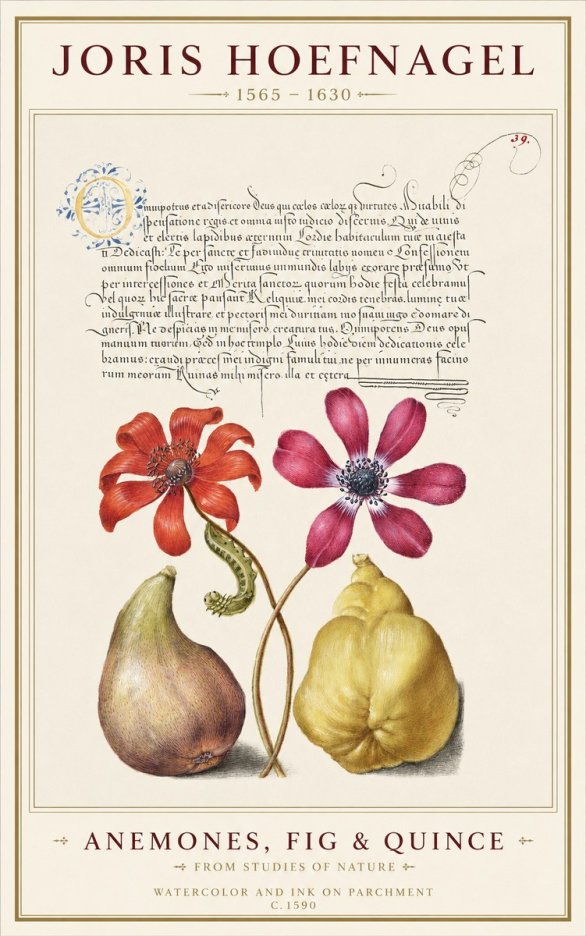 Joris Hoefnagel Flowers and Fruits No2 - Poster