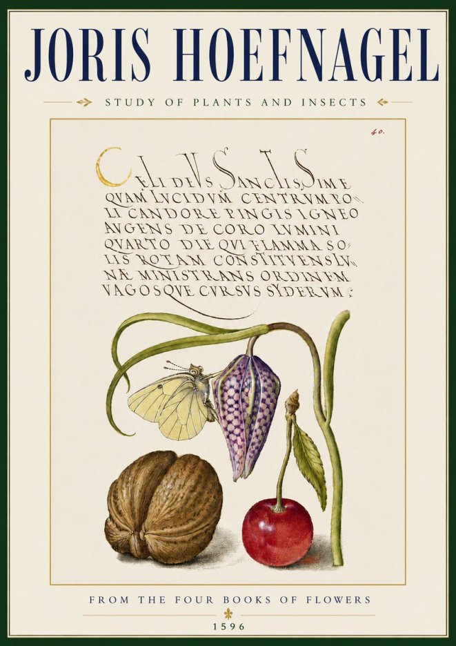 Joris Hoefnagel Study of Plants and Insects No5 - Poster