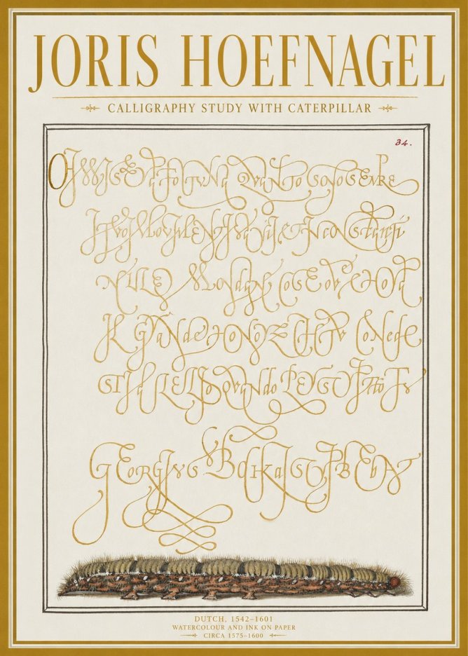 Joris Hoefnagel Calligraphy Study with Caterpillar No1 - Poster