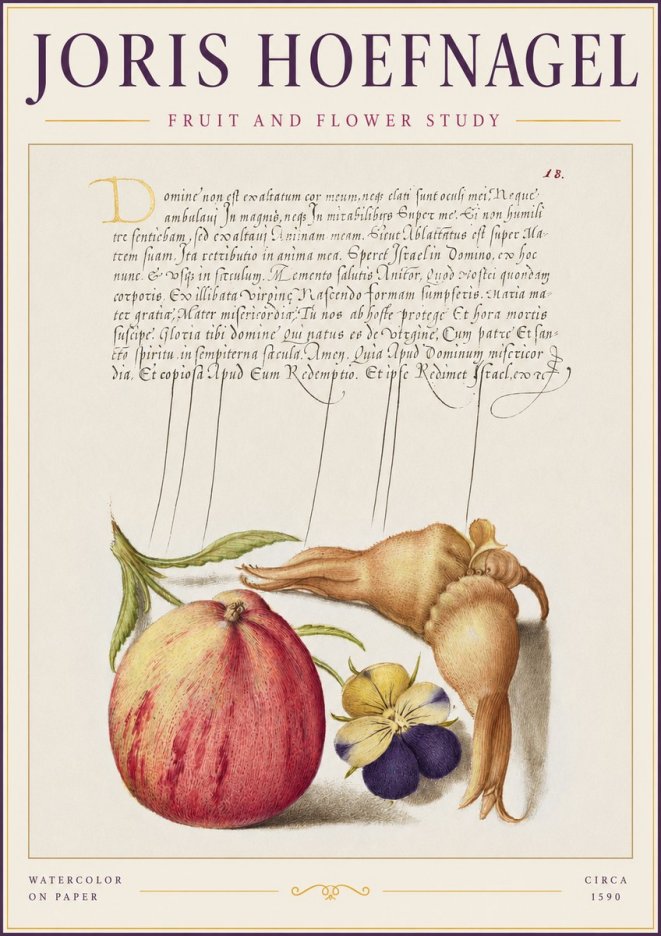 Joris Hoefnagel Fruit and Flower Study No2 - Poster