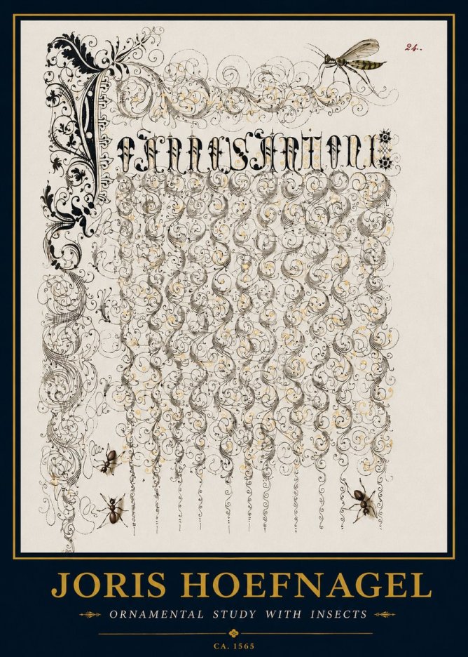 Joris Hoefnagel Ornamental Study with Insects No3 - Poster