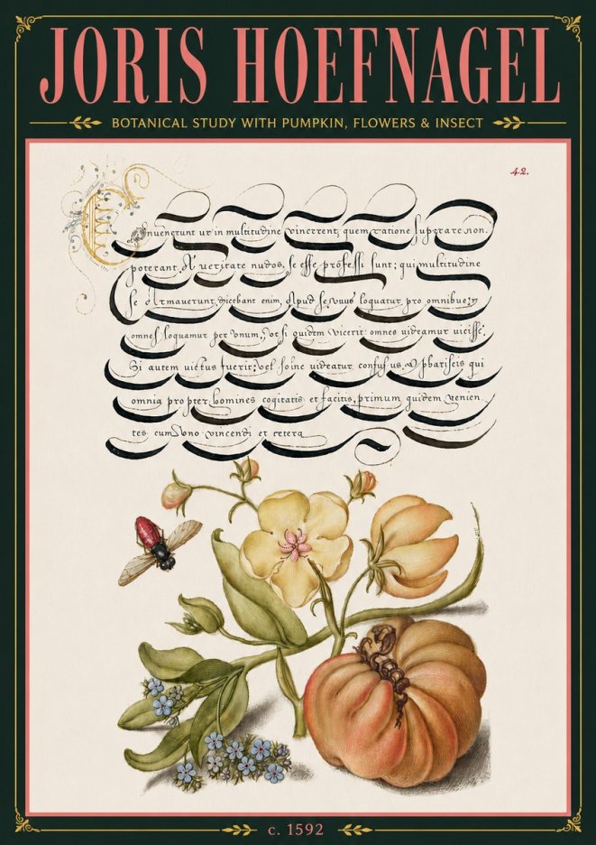 Joris Hoefnagel Botanical Study with Pumpkin, Flowers & Insect No6 - Poster