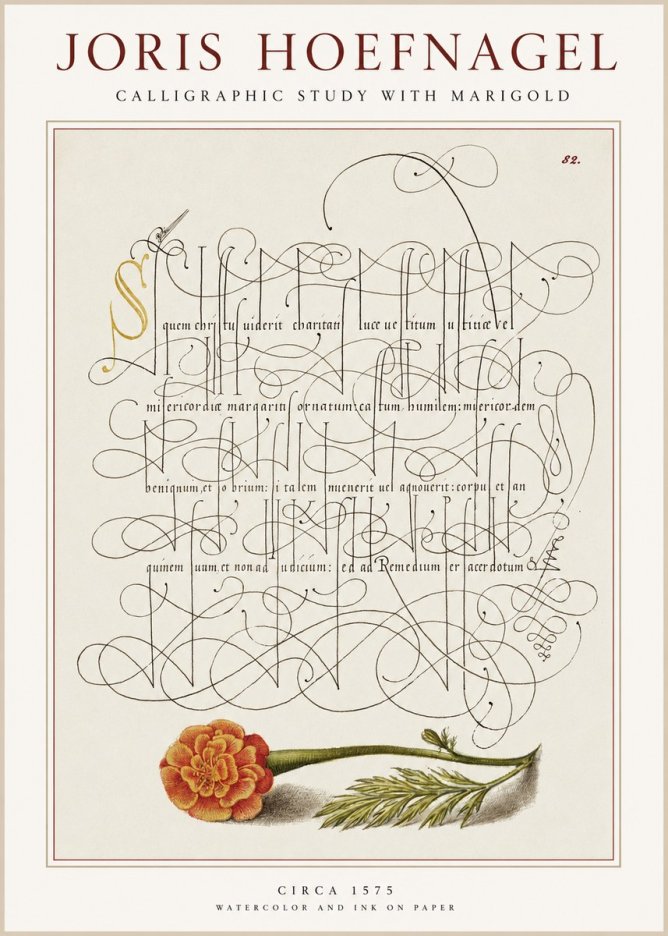 Joris Hoefnagel Calligraphic Study with Marigold No1 - Poster