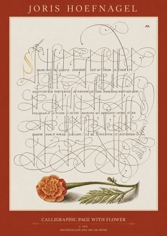 Joris Hoefnagel Calligraphic Study with Marigold No2 - Poster