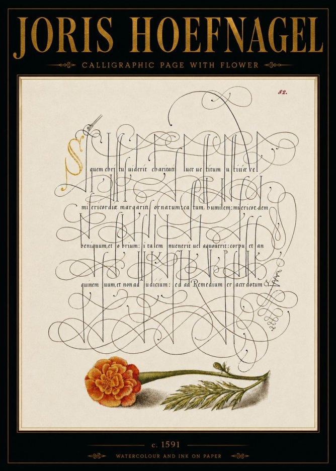 Joris Hoefnagel Calligraphic Study with Marigold No6 - Poster