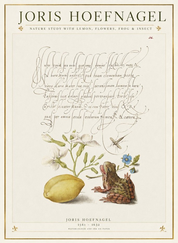 Joris Hoefnagel Nature Study with Lemon, Flowers, Frog & Insect No1 - Poster