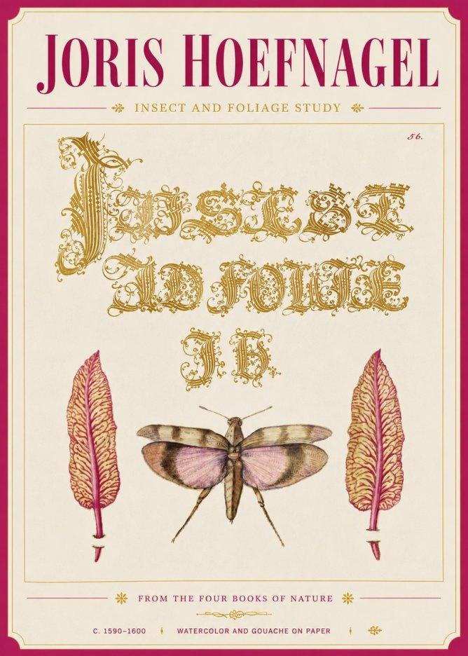 Joris Hoefnagel Insect and Foliage Study No6 - Poster
