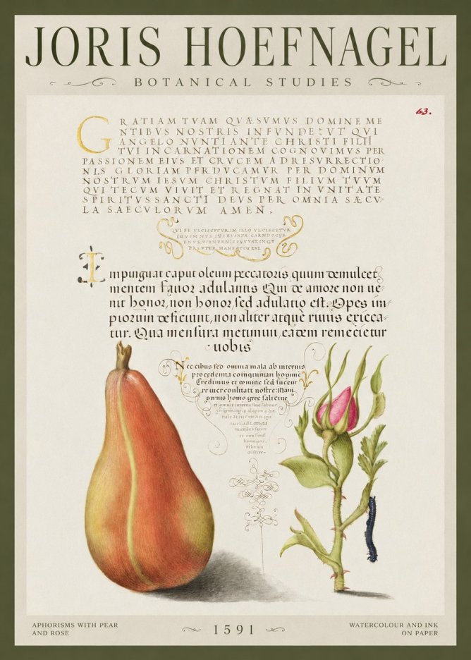 Joris Hoefnagel Aphorisms with Pear and Rose No1 - Poster