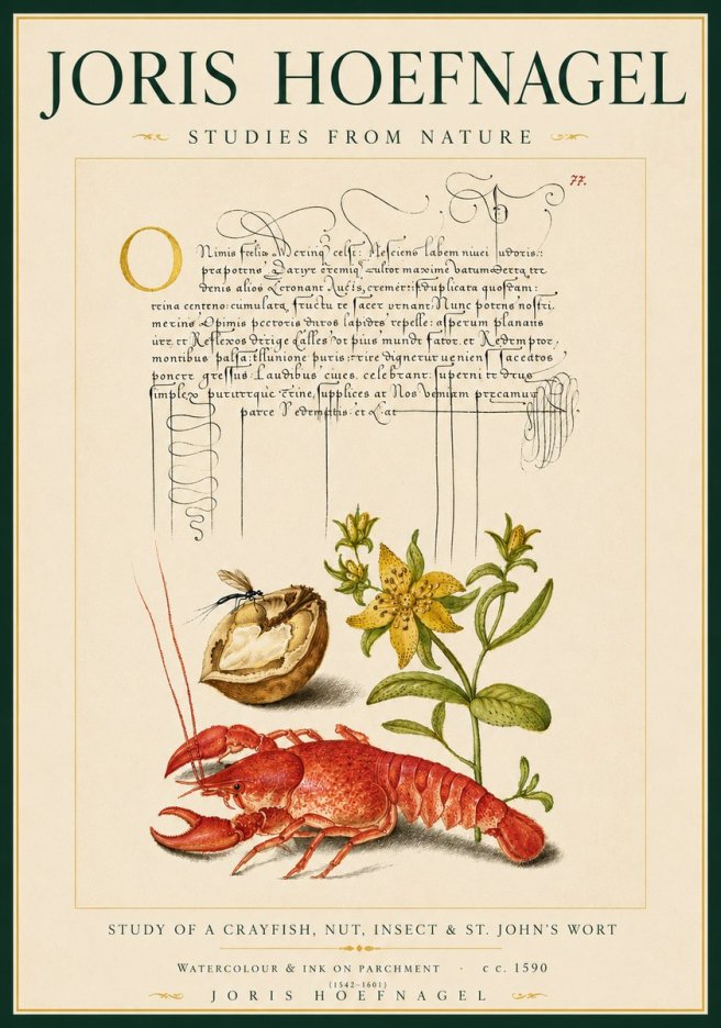 Joris Hoefnagel Studies from Nature No6 - Poster