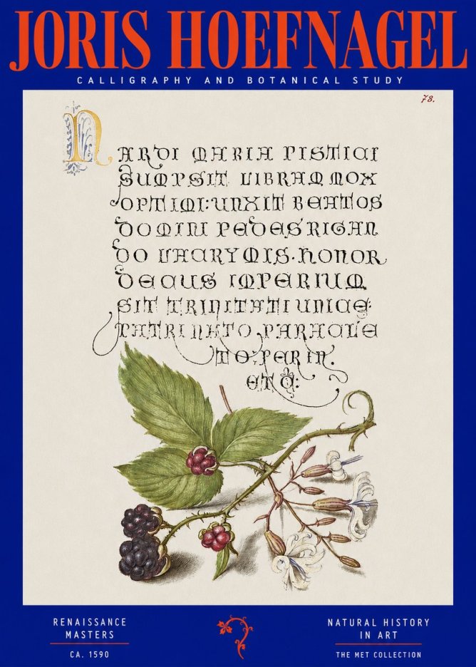 Joris Hoefnagel Calligraphy and Botanical Study II No2 - Poster