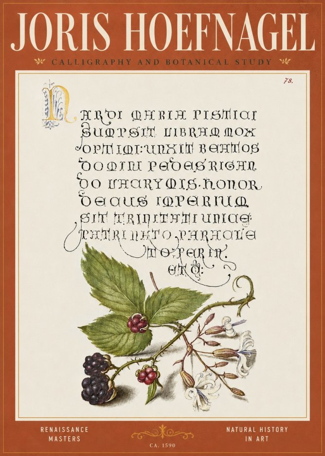Joris Hoefnagel Calligraphy and Botanical Study II No4 - Poster