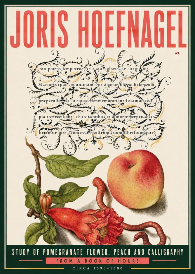Joris Hoefnagel Study of Pomegranate Flower, Peach and Calligraphy from a Book of Hours No6 - Poster