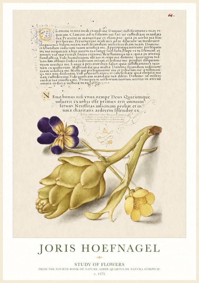 Joris Hoefnagel Botanical Study with Calligraphy III No2 - Poster