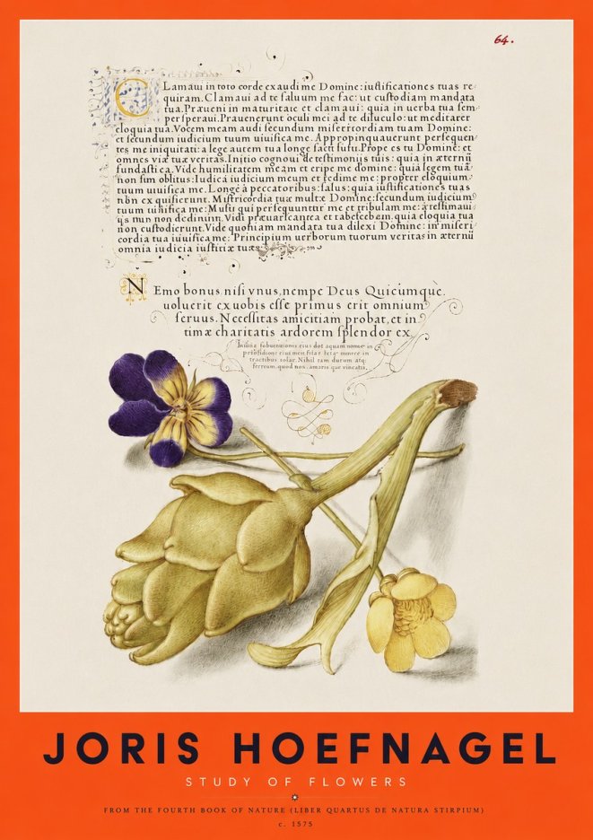 Joris Hoefnagel Botanical Study with Calligraphy III No4 - Poster