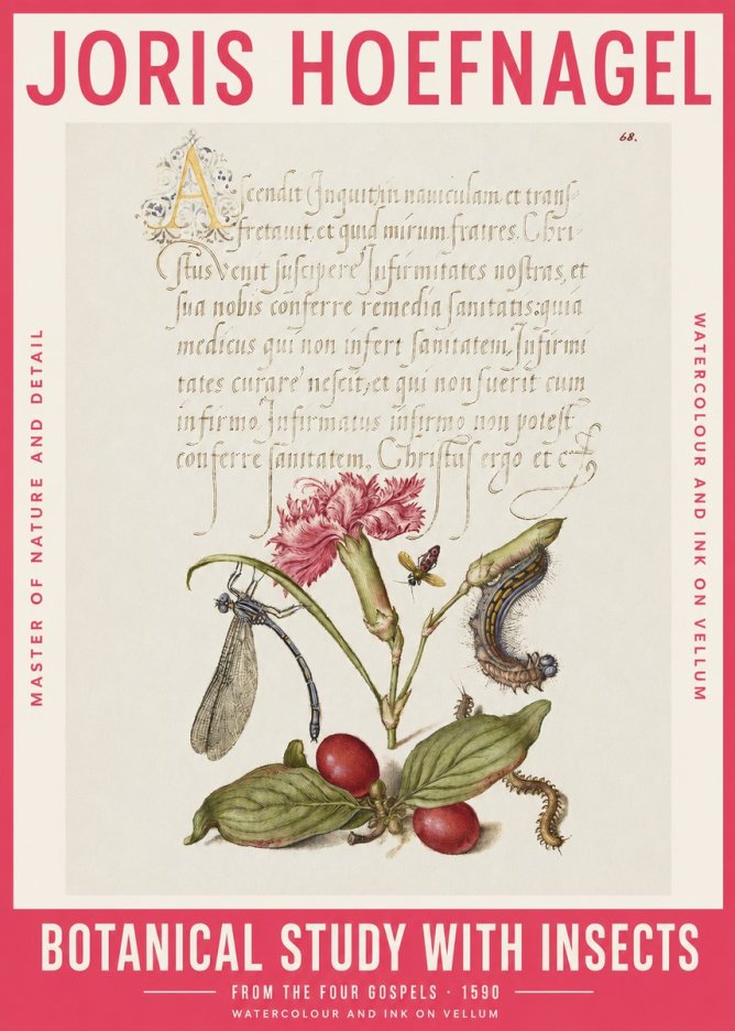 Joris Hoefnagel Botanical Study with Insects No2 - Poster