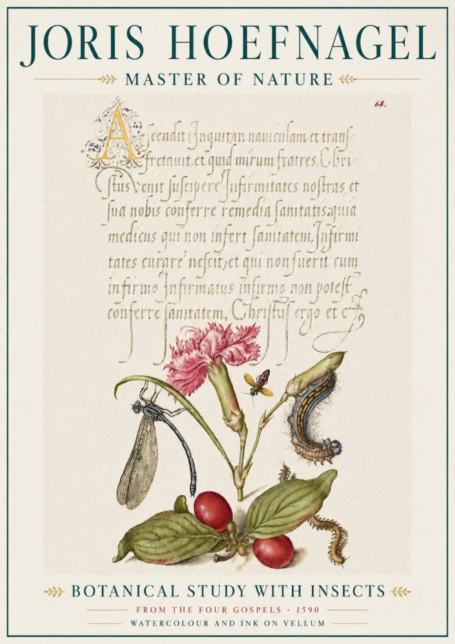 Joris Hoefnagel Botanical Study with Insects No5 - Poster