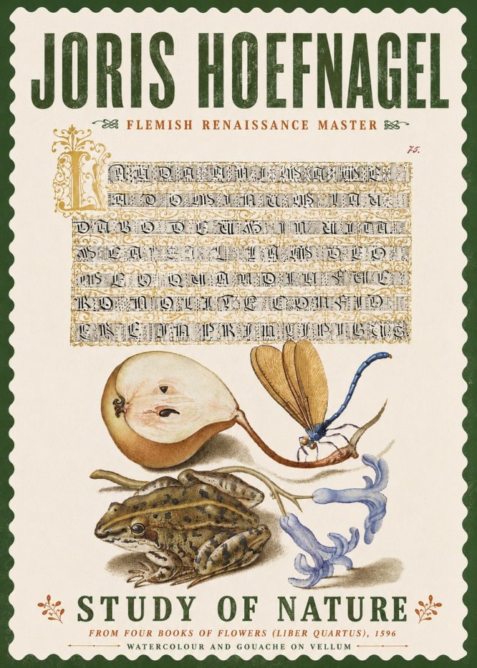 Joris Hoefnagel Study of Nature II No6 - Poster