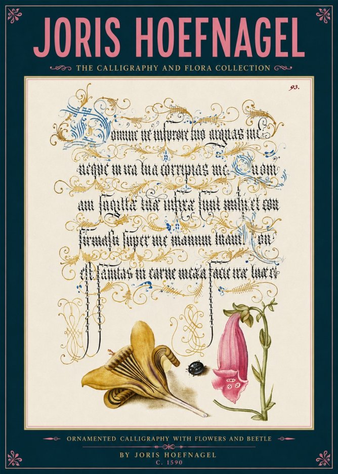 Joris Hoefnagel Ornamented Calligraphy with Flowers and Beetle No6 - Poster