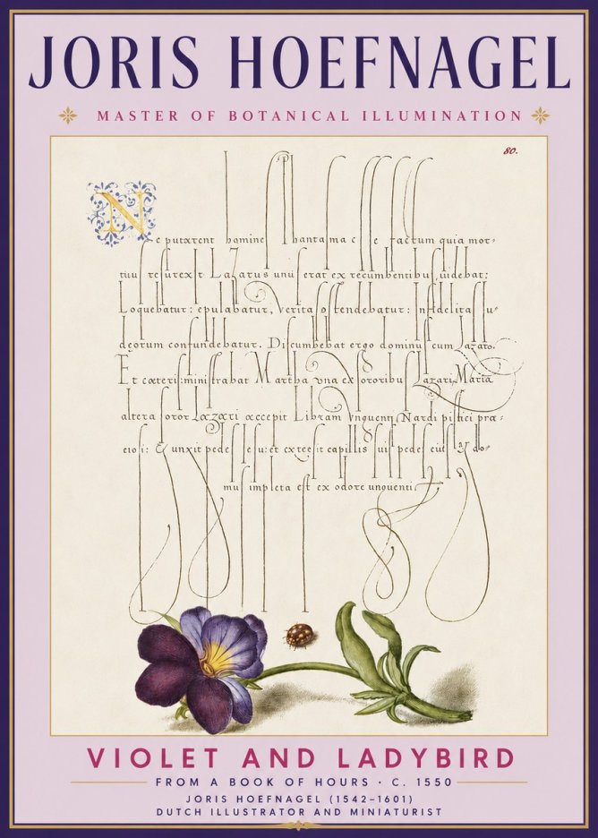 Joris Hoefnagel Violet and Ladybird No3 - Poster