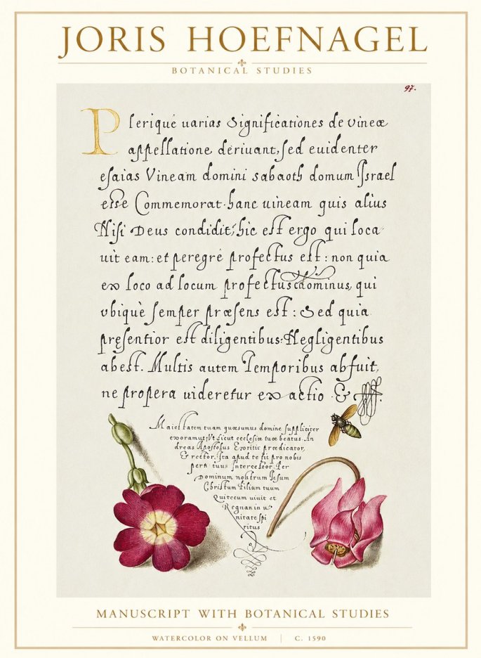 Joris Hoefnagel Manuscript with Botanical Studies No1 - Poster