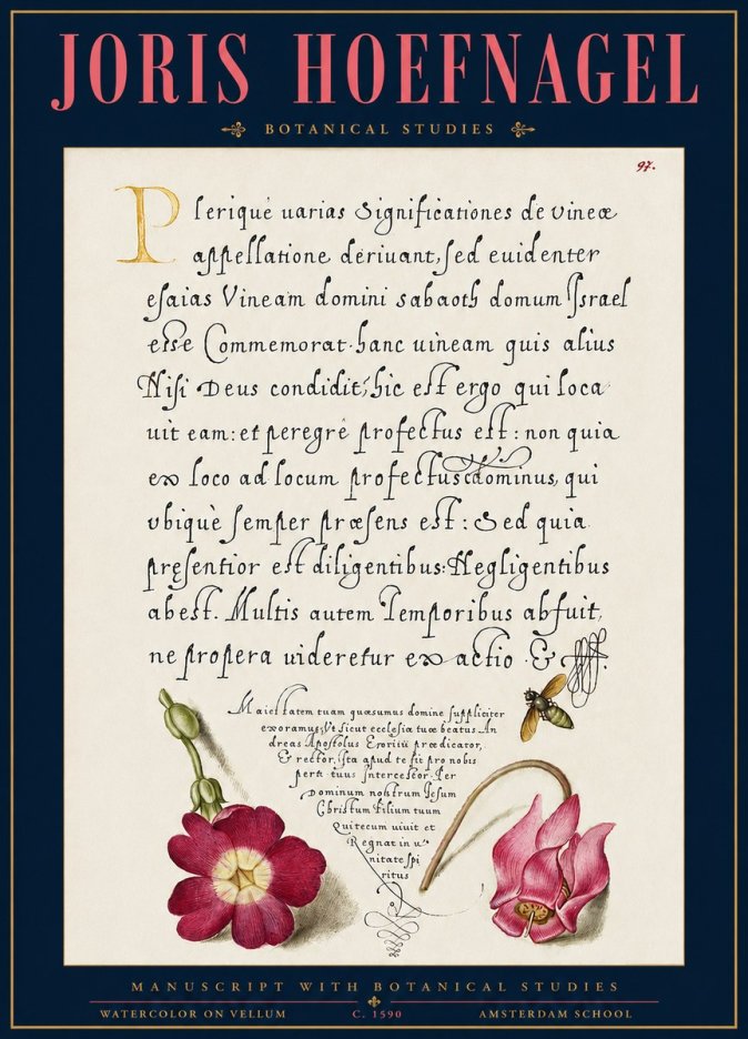 Joris Hoefnagel Manuscript with Botanical Studies No3 - Poster