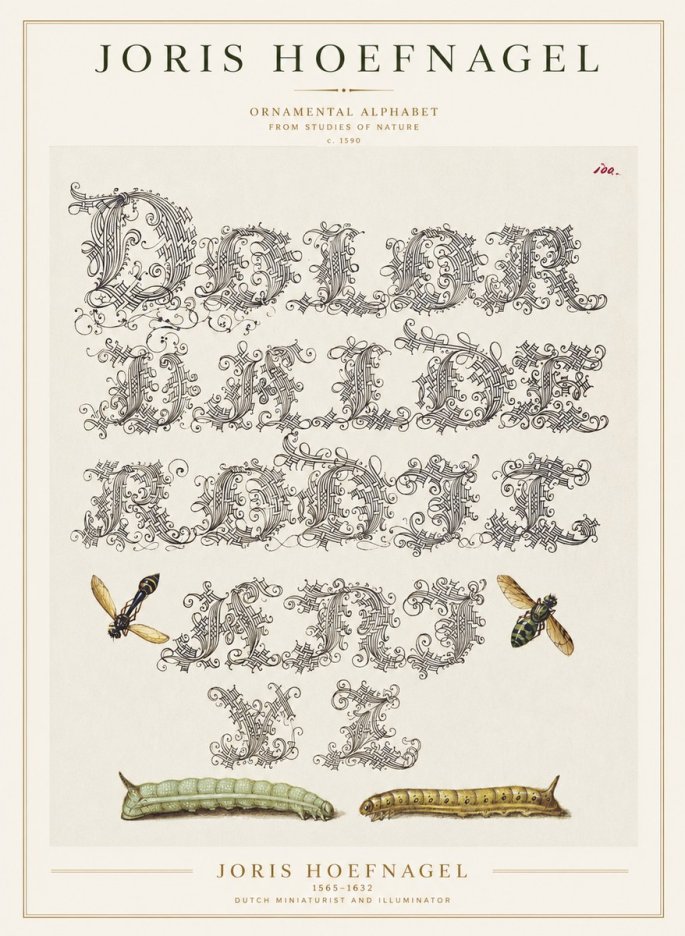 Joris Hoefnagel Ornamental Alphabet from Studies of Nature No1 - Poster