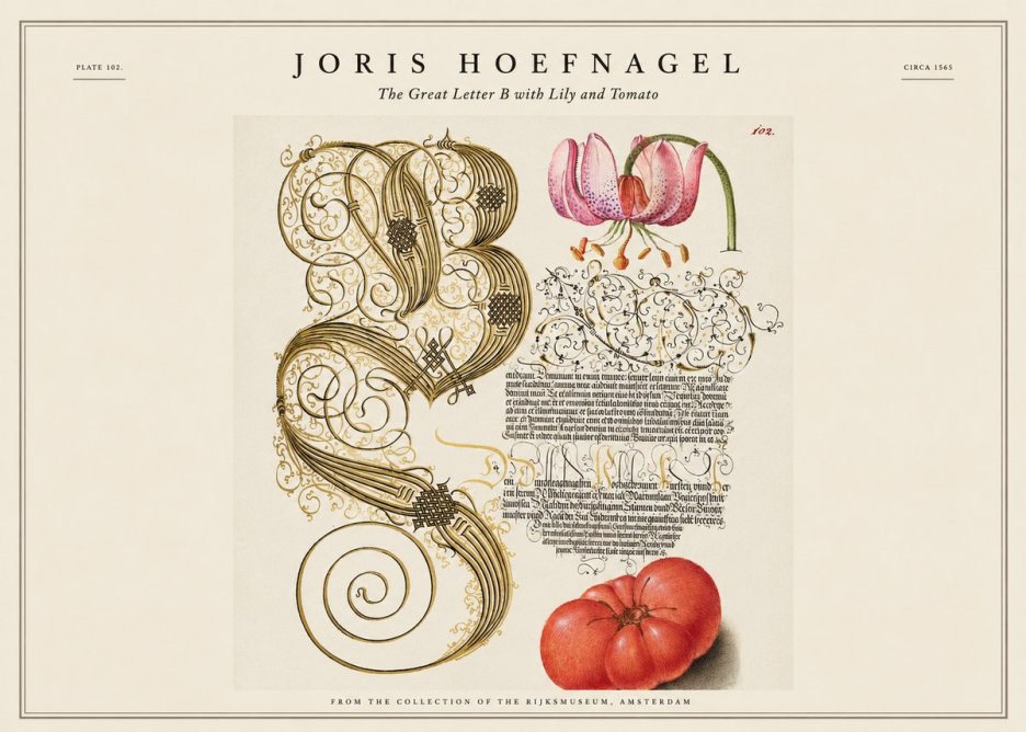 Joris Hoefnagel The Great Letter B with Lily and Tomato No1 - Poster