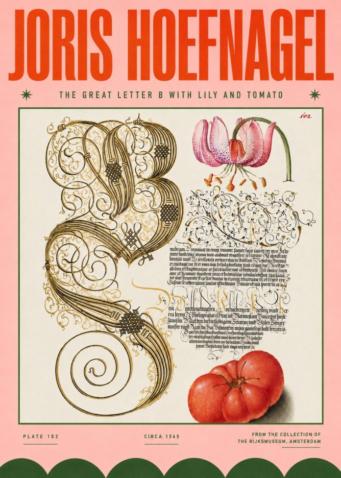 Joris Hoefnagel The Great Letter B with Lily and Tomato No4 - Poster