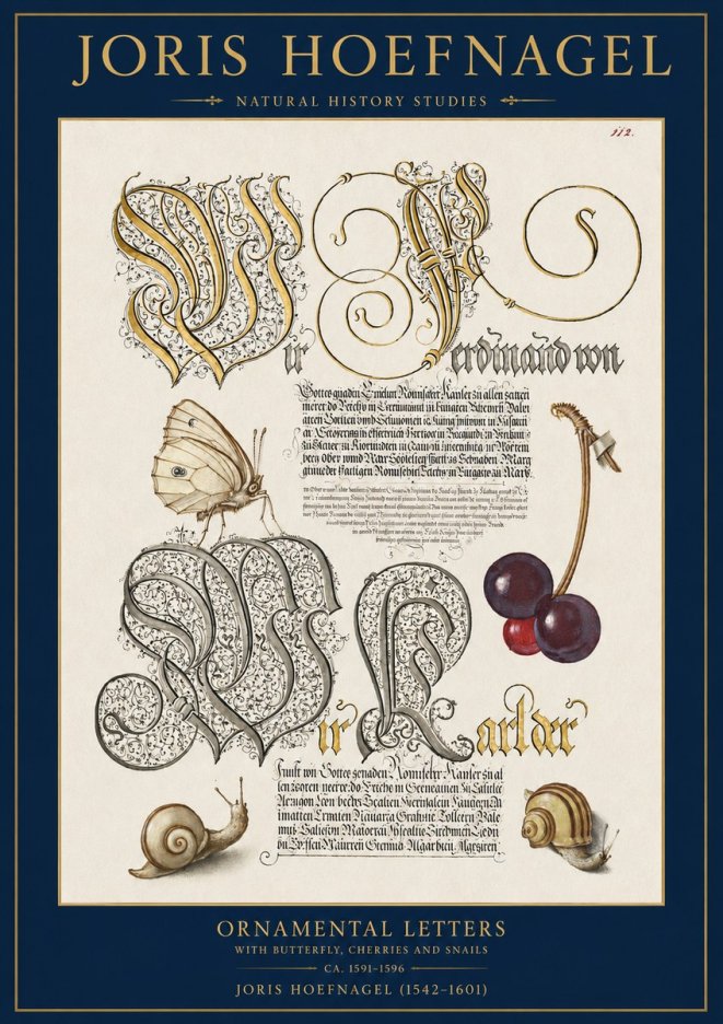 Joris Hoefnagel Ornamental Letters with Butterfly, Cherries and Snails No2 - Poster