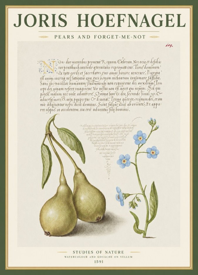 Joris Hoefnagel Pears and Forget-me-not No1 - Poster