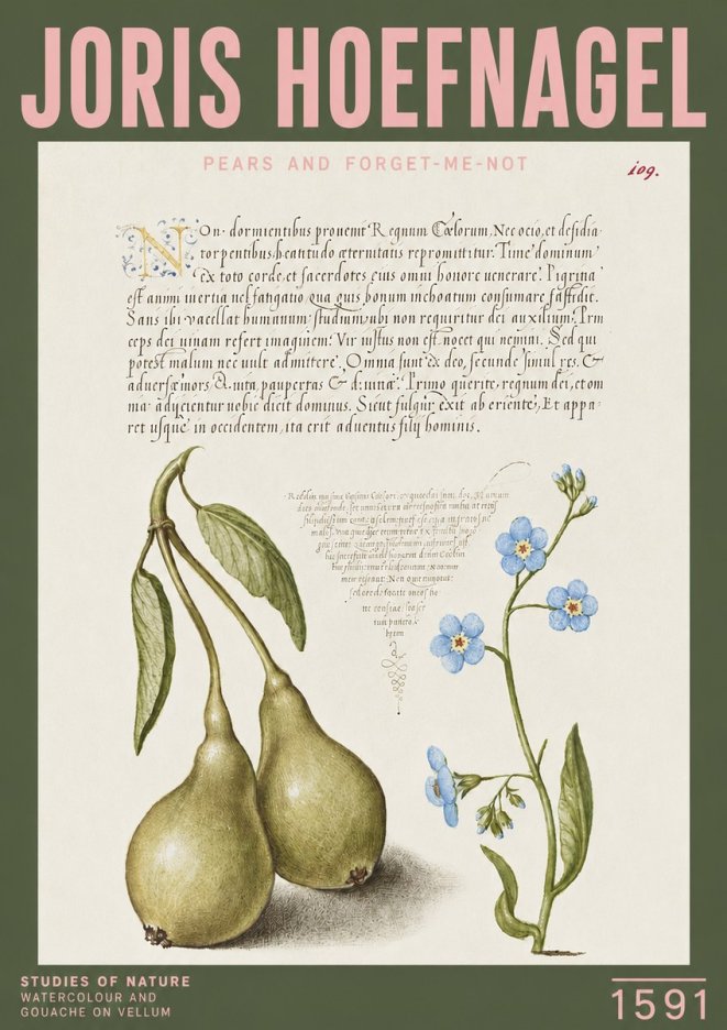 Joris Hoefnagel Pears and Forget-me-not No3 - Poster