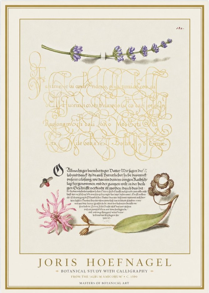 Joris Hoefnagel Botanical Study with Calligraphy IV No1 - Poster