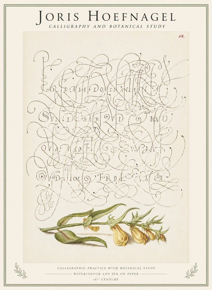 Joris Hoefnagel Calligraphic Practice with Botanical Study No1 - Poster