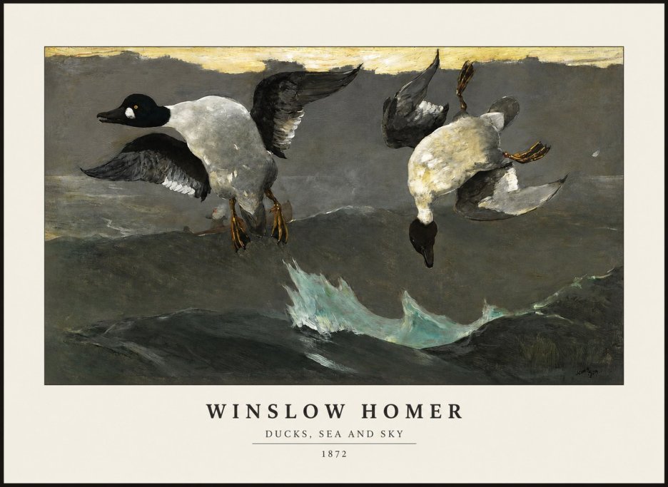Winslow Homer Ducks, Sea and Sky No1 - Poster