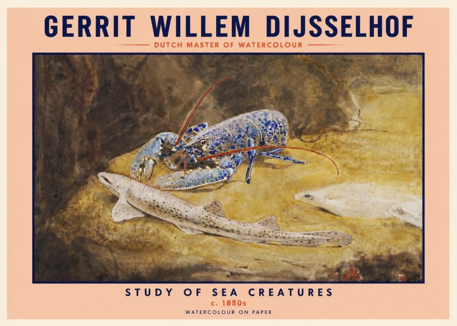 Gerrit Willem Dijsselhof Study of Sea Creatures No2 - Poster