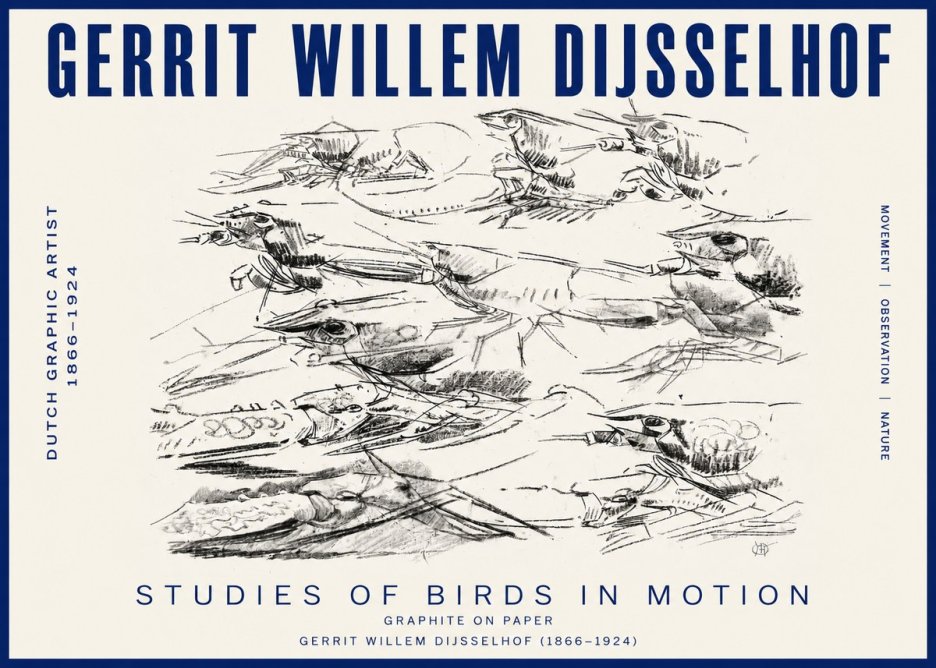 Gerrit Willem Dijsselhof Studies of Birds in Motion No3 - Poster