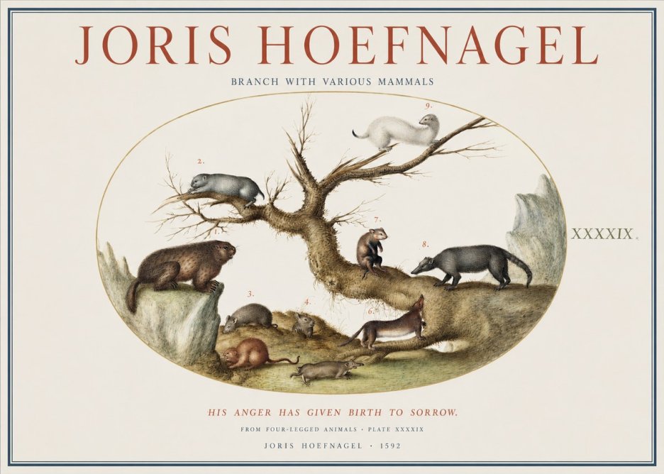 Joris Hoefnagel Branch with Various Mammals No1 - Poster