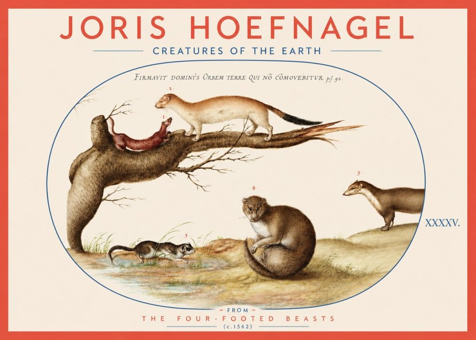 Joris Hoefnagel Creatures of the Earth I No3 - Poster