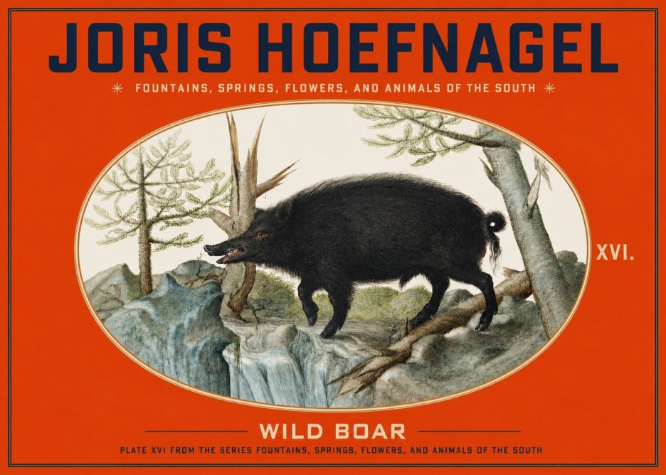 Joris Hoefnagel Fountains, Springs, Flowers, and Animals of the South - Plate Xvi No3 - Poster