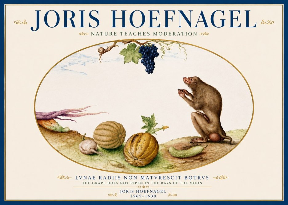Joris Hoefnagel Nature Teaches Moderation No5 - Poster