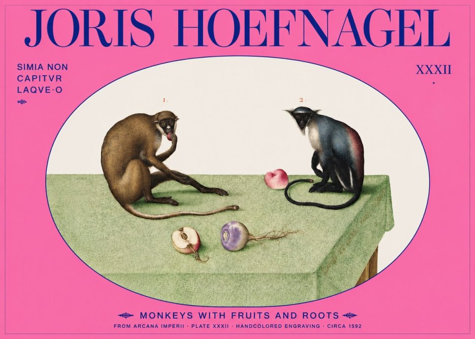 Joris Hoefnagel Monkeys with Fruits and Roots No2 - Poster