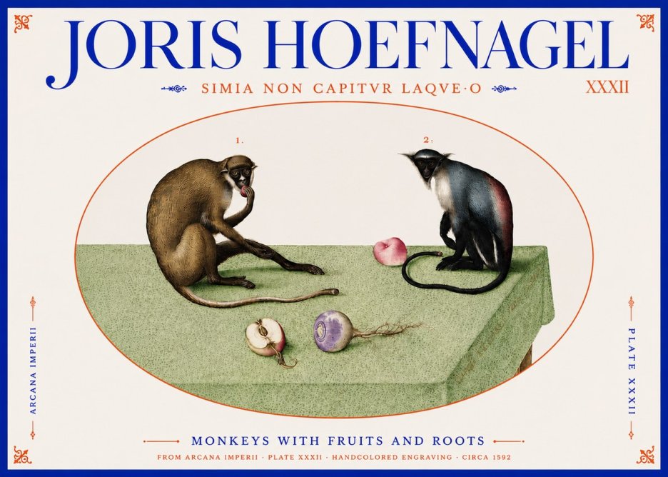 Joris Hoefnagel Monkeys with Fruits and Roots No4 - Poster