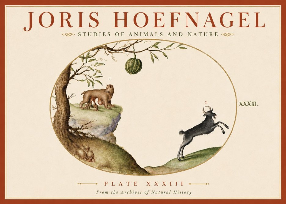 Joris Hoefnagel Plate Xxxiii No6 - Poster