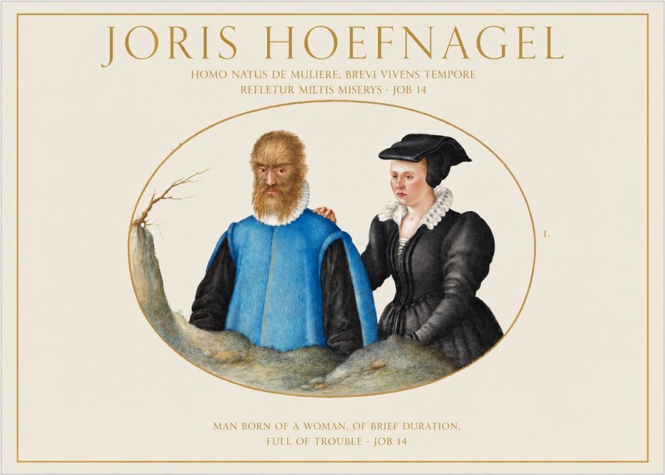 Joris Hoefnagel Homo Natus De Muliere, Brevi Vivens Tempore Refletur Miltis Miserys · Job 14 No1 - Poster