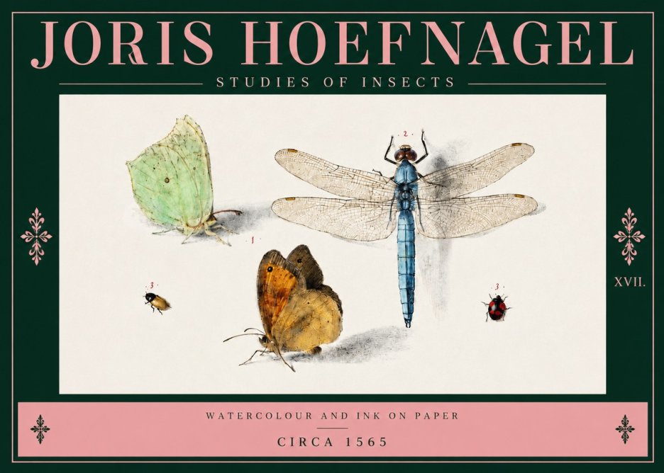 Joris Hoefnagel A Study of Butterflies, Dragonflies and Beetles No4 - Poster