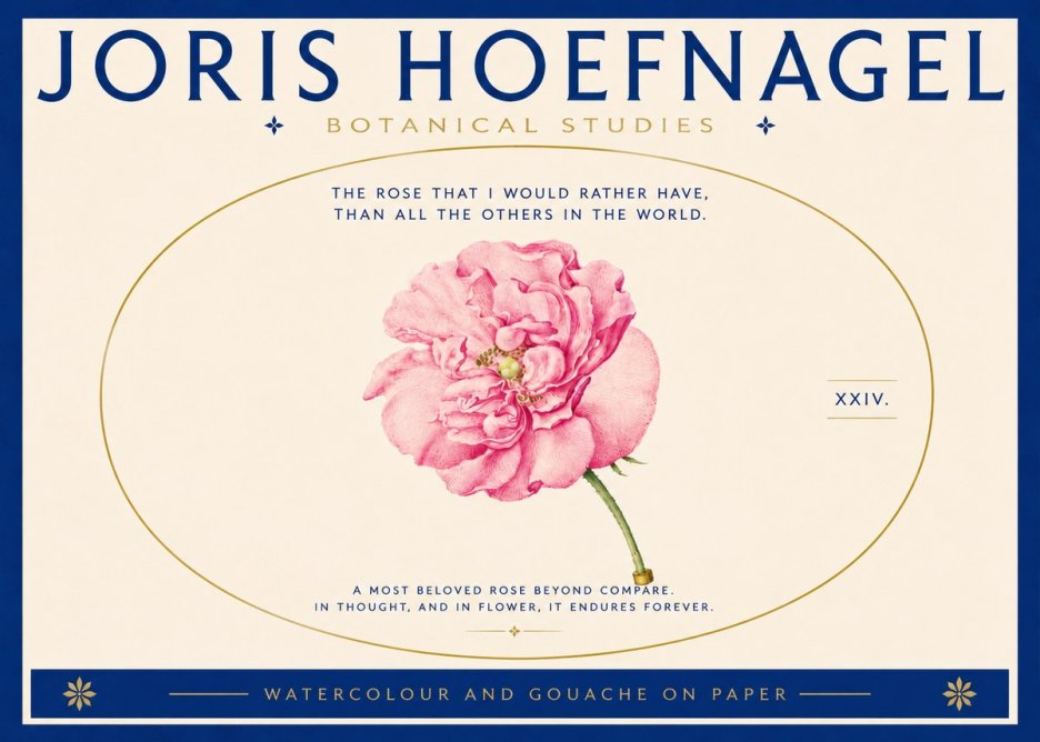 Joris Hoefnagel A Pink Damask Rose No5 - Poster